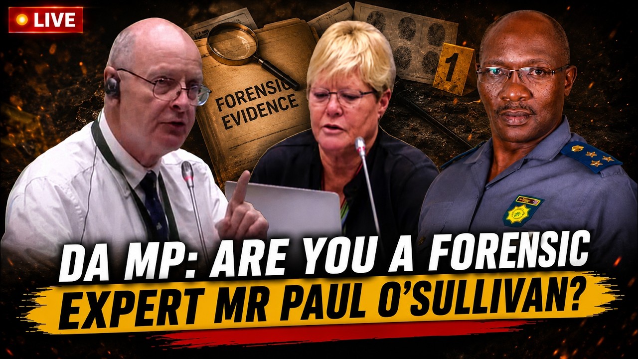 DA MP GLYNNIS BREYTENBACH | ARE YOU A FORENSIC EXPECT PAUL O'SULLIVAN