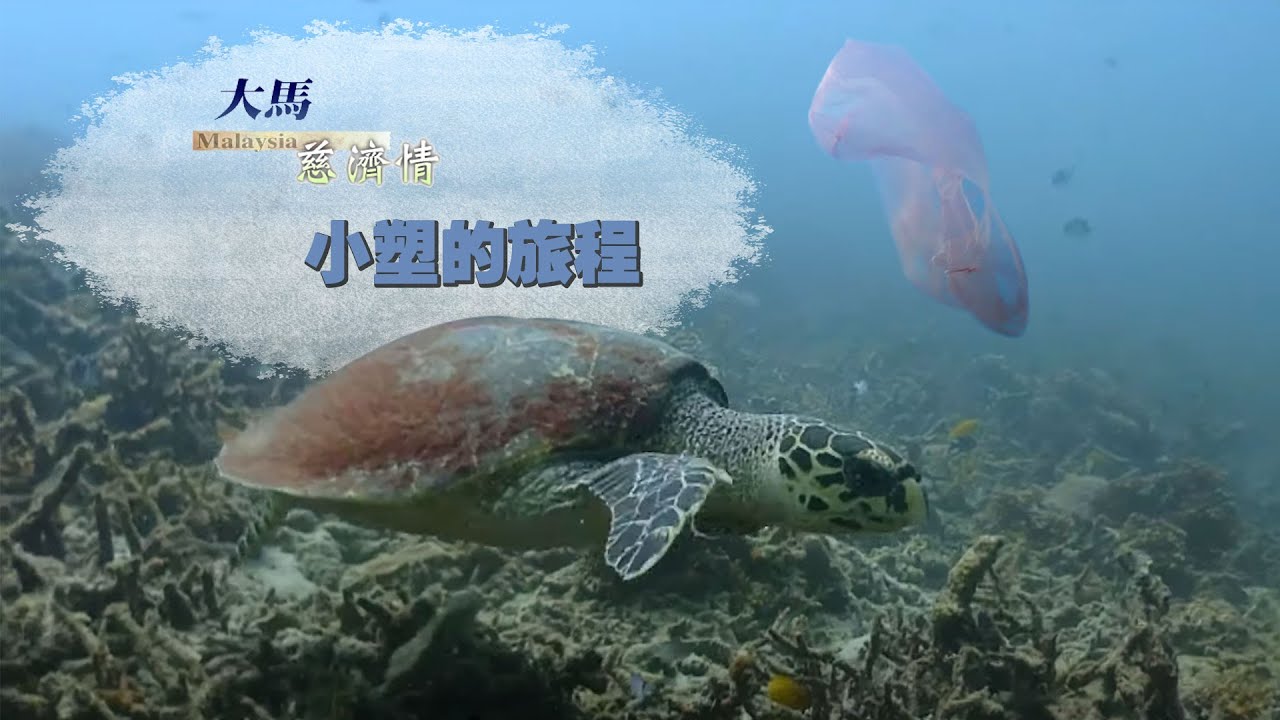 【大马慈济情】20200421-小塑的旅程
