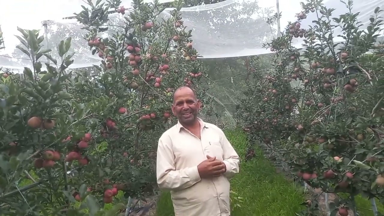 बागवान उद्यमी : भगवान सिंह कलोड़ा /सौंदाड़ी रवाईं, उत्तरकाशी