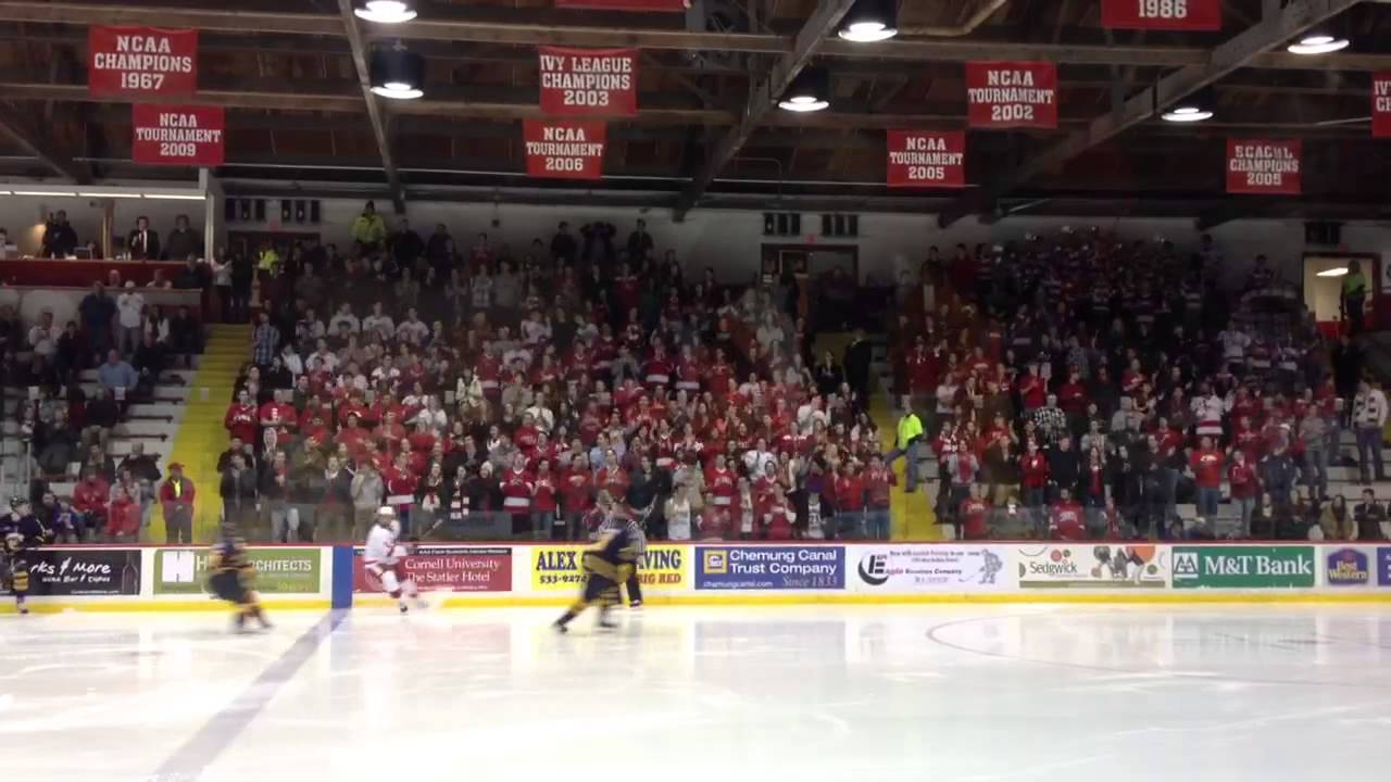 Lynah Faithful