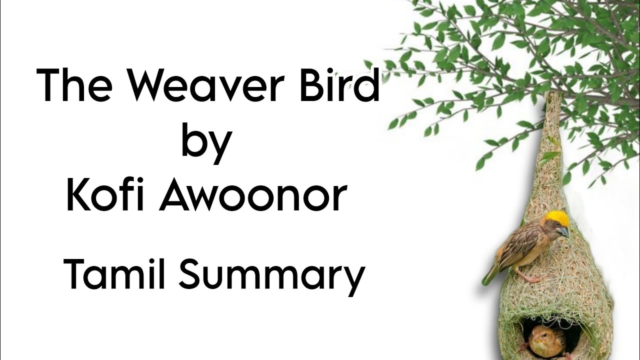 The Weaver Bird | Kofi Awoonor | Tamil Summary | Post - Colonial Literature | MA English | MSU