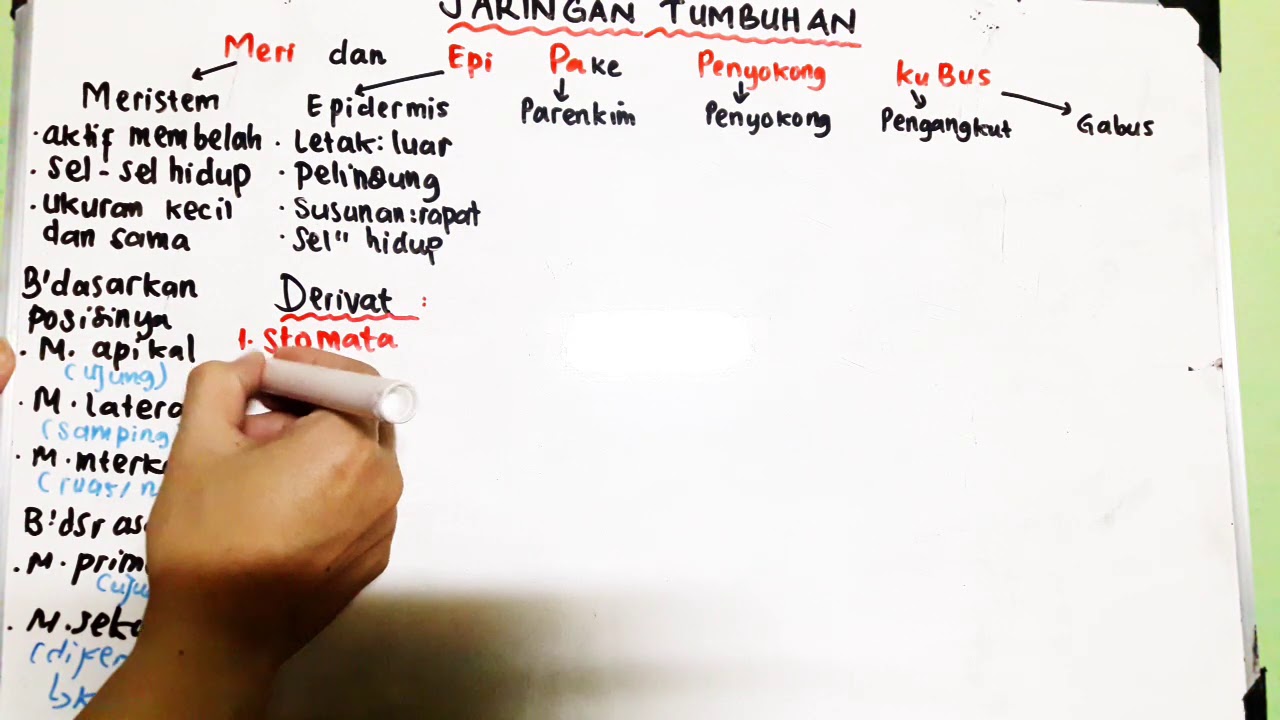[Part-1] Jaringan Tumbuhan