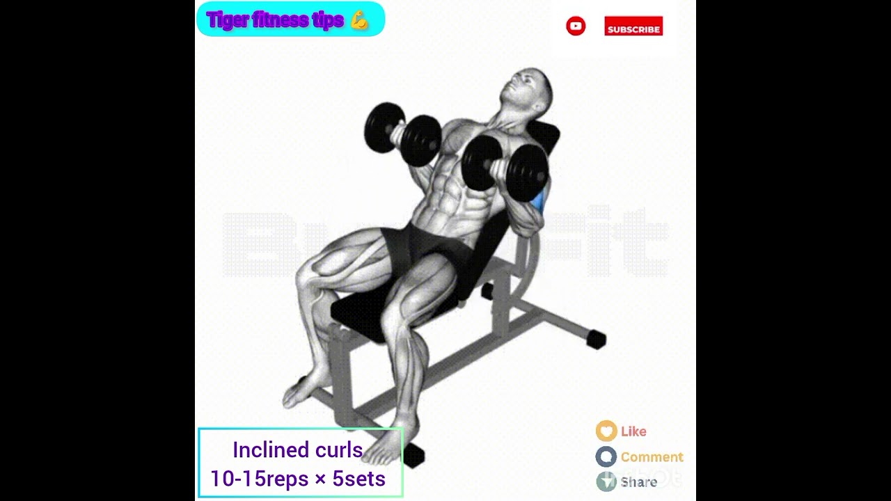Dumbells biceps workout 💪  - Top 10 biceps exercises with dumbells only 💪 🏋️‍♂️