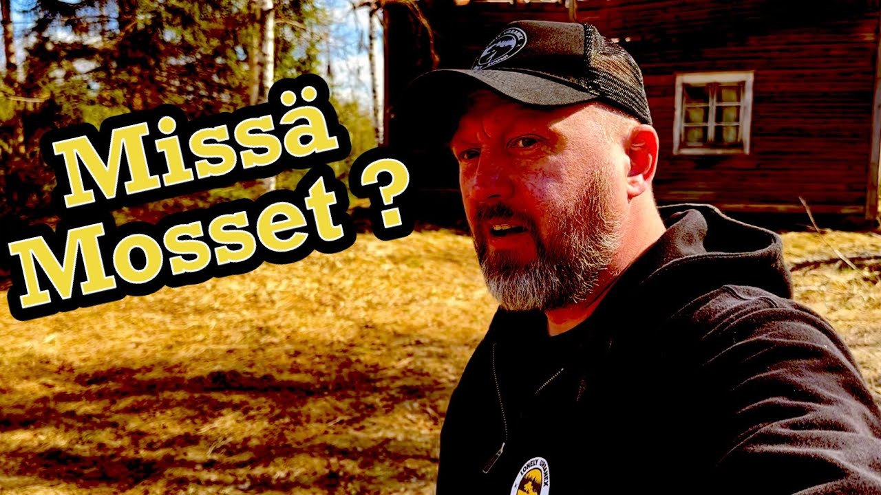 Autiotalo & Missä Mosset ?