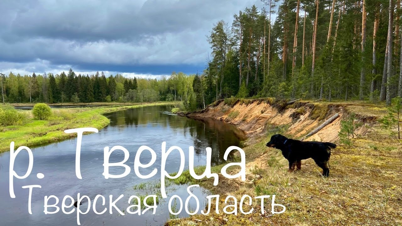 ЖЕСТОКАЯ РЫБАЛКА! НОЧЕВКА на Красивой реке. Шаурма на костре.