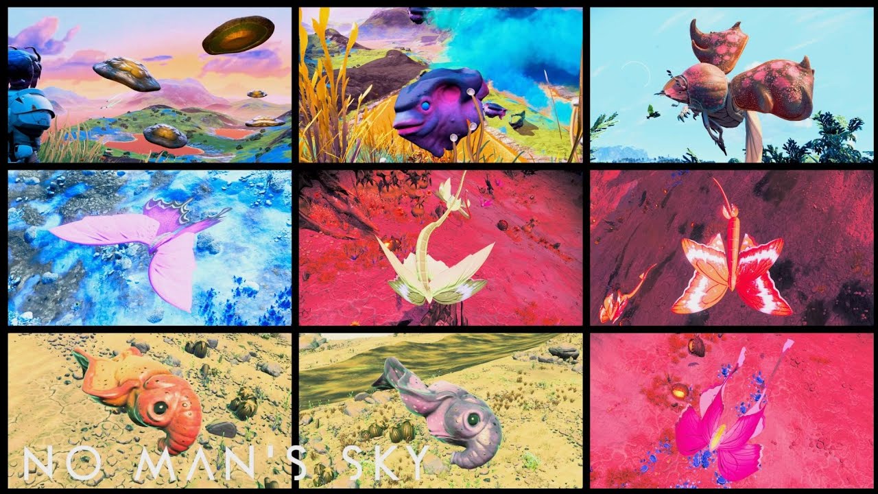 9 Amazing Rideable Flying Pets in 1 System! | Euclid | No Man's Sky 2021