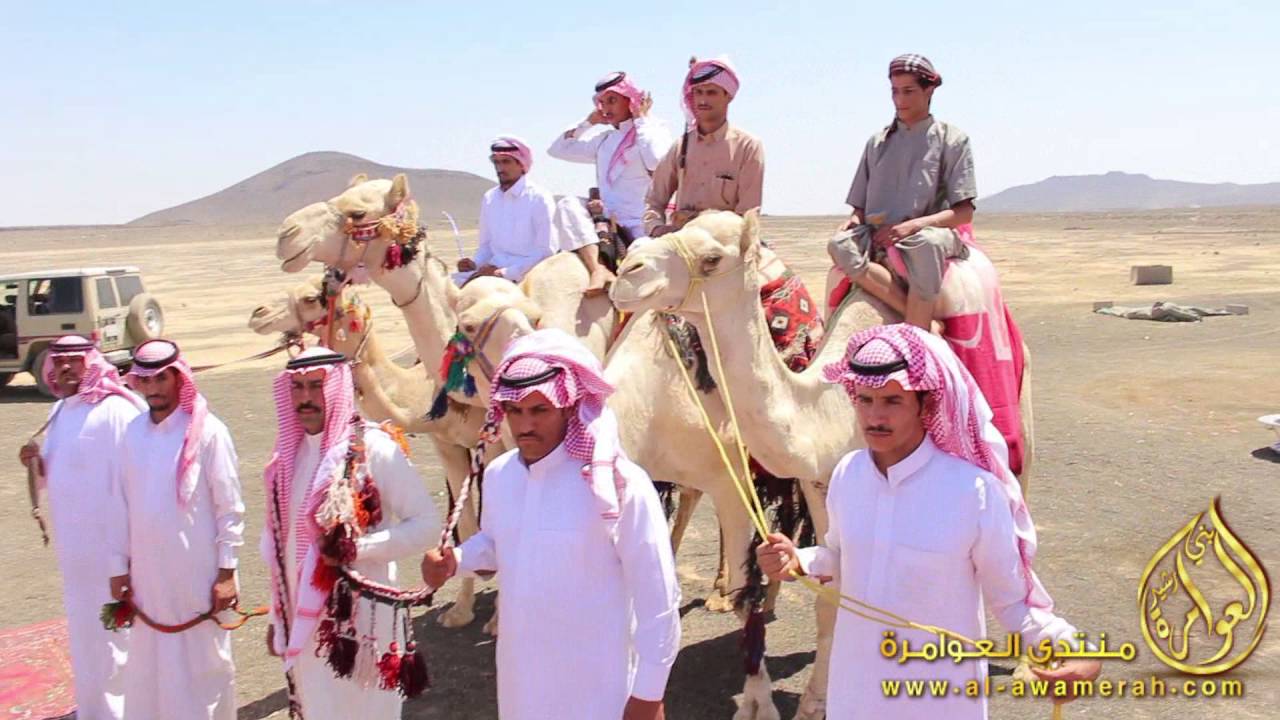 تغطية معايدة العوامرة وعرض هجن أصايل الشيخ / مرجي ثامر بن غنيم العويمري 1437 هـ - 2016