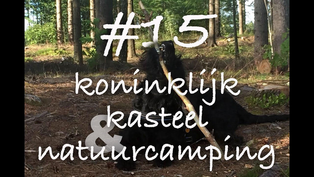 vlog #15 koninklijk kasteel en natuurcamping   camperzwerven door scandinavie