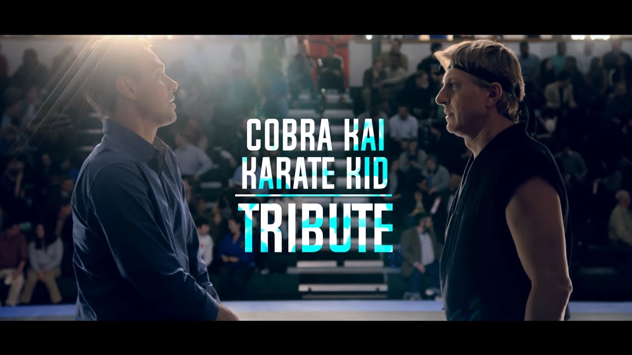 Cobra Kai / Karate Kid -  Tribute