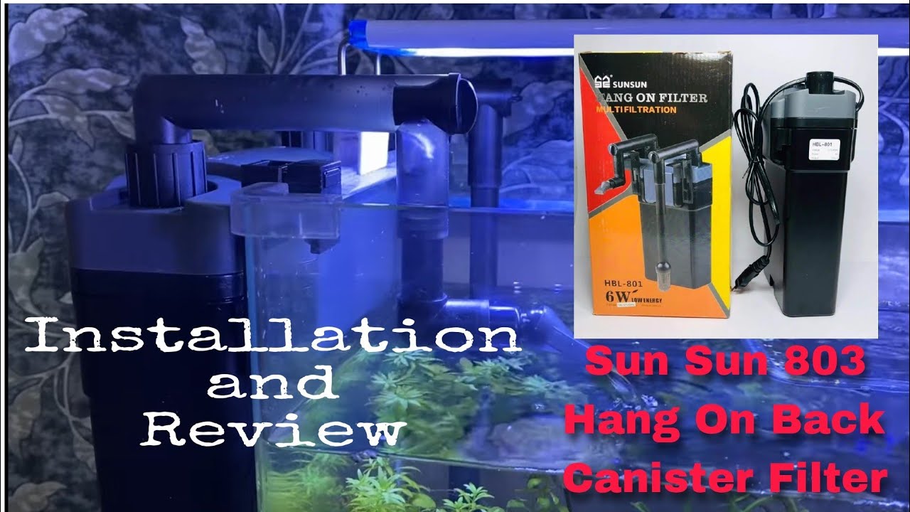 Unboxing Best Budget Filter For My Aquarium | SUNSUN HBL 803 | Canister Filter | Setup |  #SUNSUN