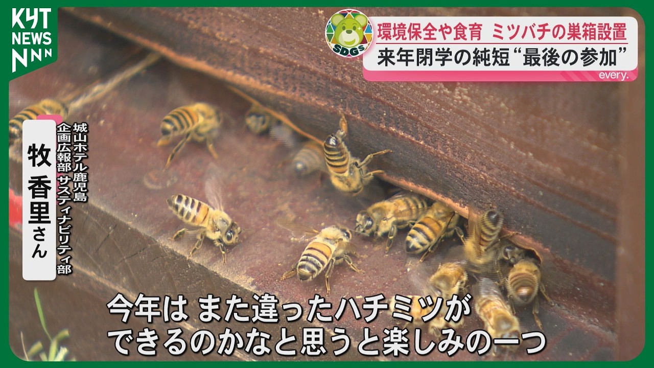 「毎年違った蜜を」“城山の森みつばちプロジェクト”始動　鹿児島市街地は蜜が豊富