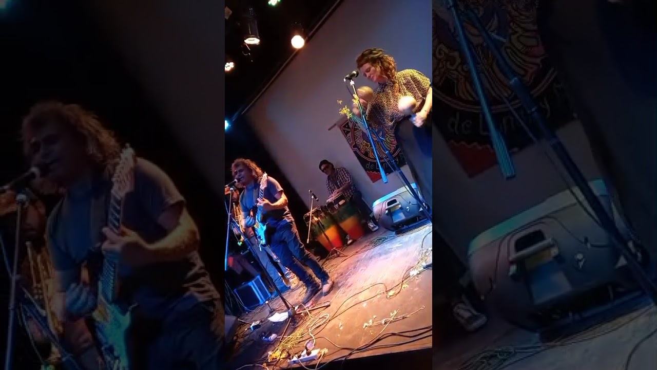 BOOMERANG, cumbia reggae fusión, por EL RITUAL DE LUNAS Y SOLES en vivo mar del plata 2025