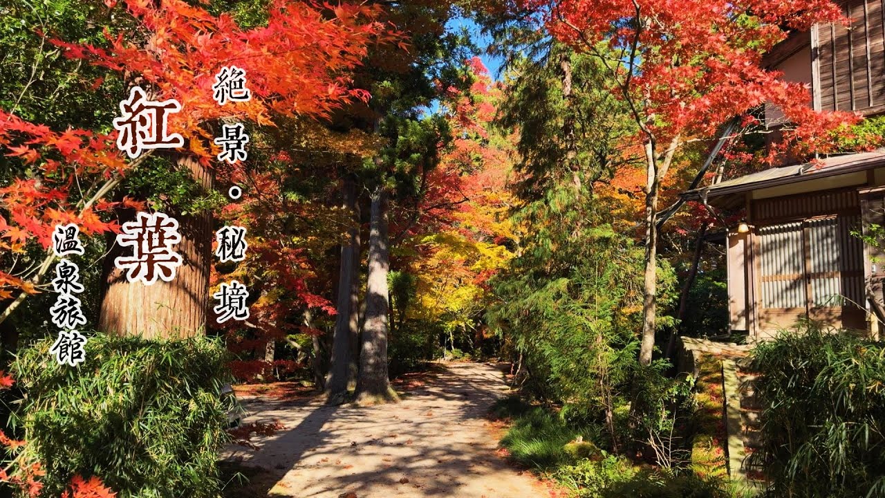 【私藏】日本人也不知道的祕境溫泉旅館|絕美楓葉季|環翠楼 村杉溫泉|新潟