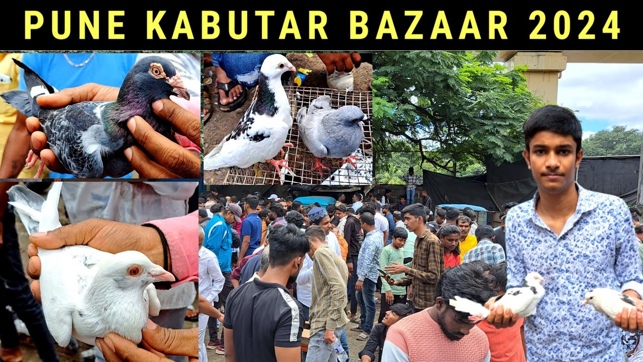 Pune Kabutar Bazaar 100 Year old || MD.ANAS.VLOG
