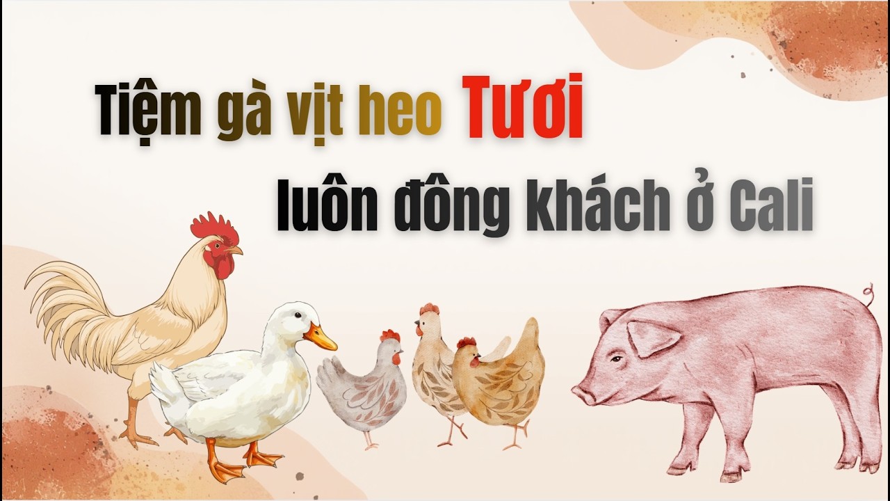 Tiệm Gà Vịt Tươi bán cả Heo ở Cali