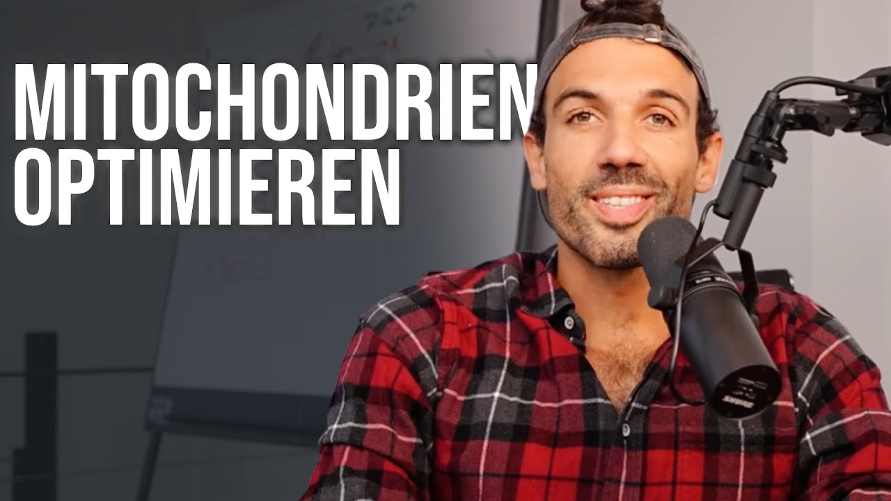 Wie man MITOCHONDRIEN langfristig OPTIMIERT (Wissenschaftlich betrachtet).