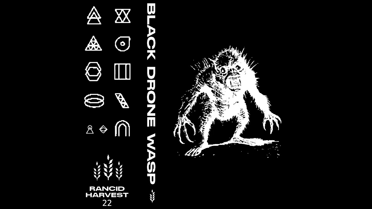Black Drone Wasp 6