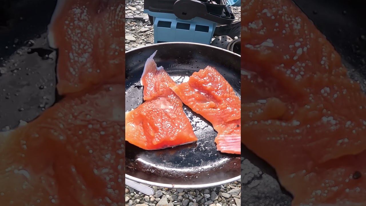 Rainbow trout catch and cook NZ #fishing #catchandcook #nzfishing