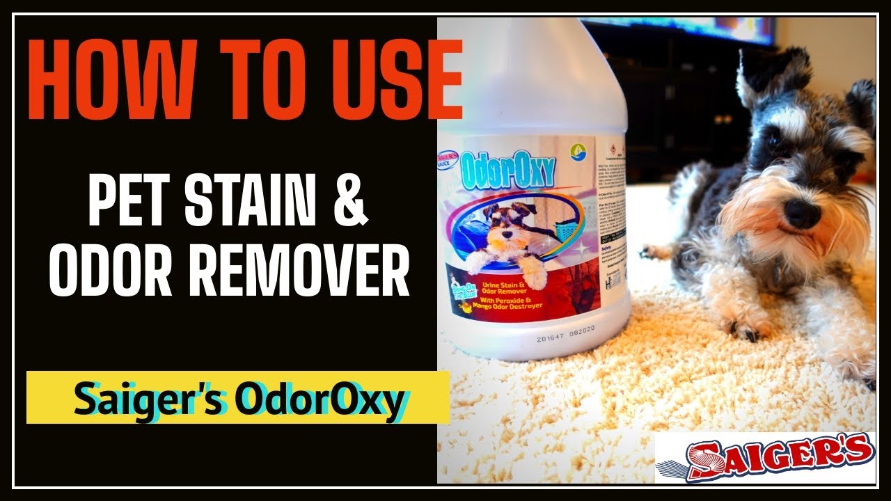 Saiger's OdorOxy | How to Use Pet Stain and Odor Remover