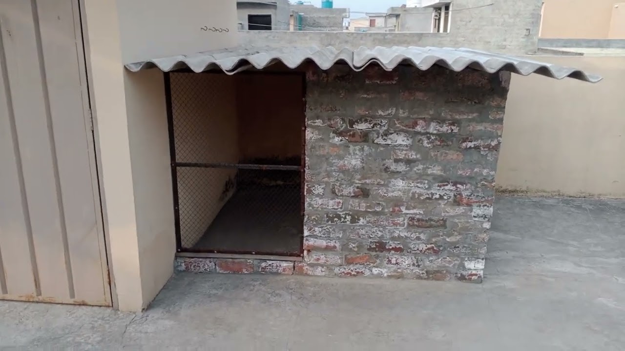 Finally Hamara Cage Ready hogia