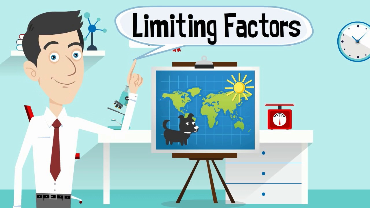Limiting Factors in an Ecosystem