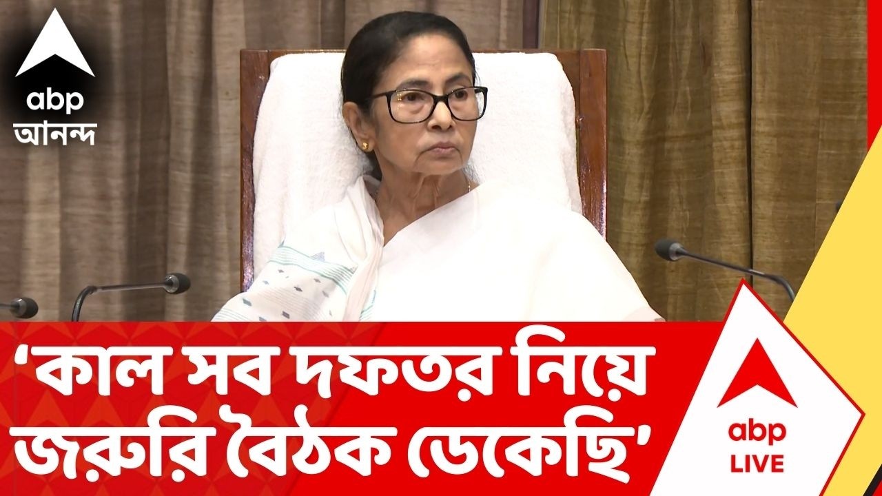 Mamata Banerjee :LPG-র আকাল রাজ্যে, এবিপি আনন্দে এক্সক্লুসিভ মমতা বন্দ্যোপাধ্যায়,যা বললেন...