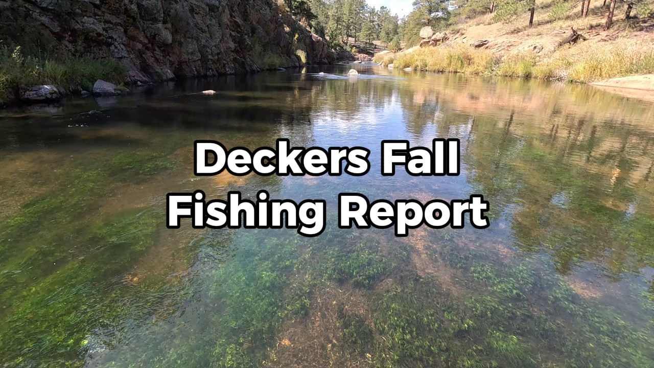 Current Fly Fishing Conditions Deckers, Colorado