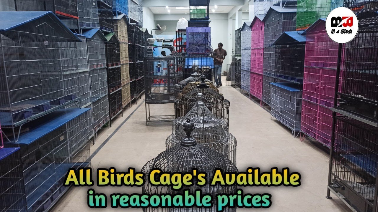 New cages in reasonable Prices update in urdu/hindi  ||five star cages ||B4BIRDS