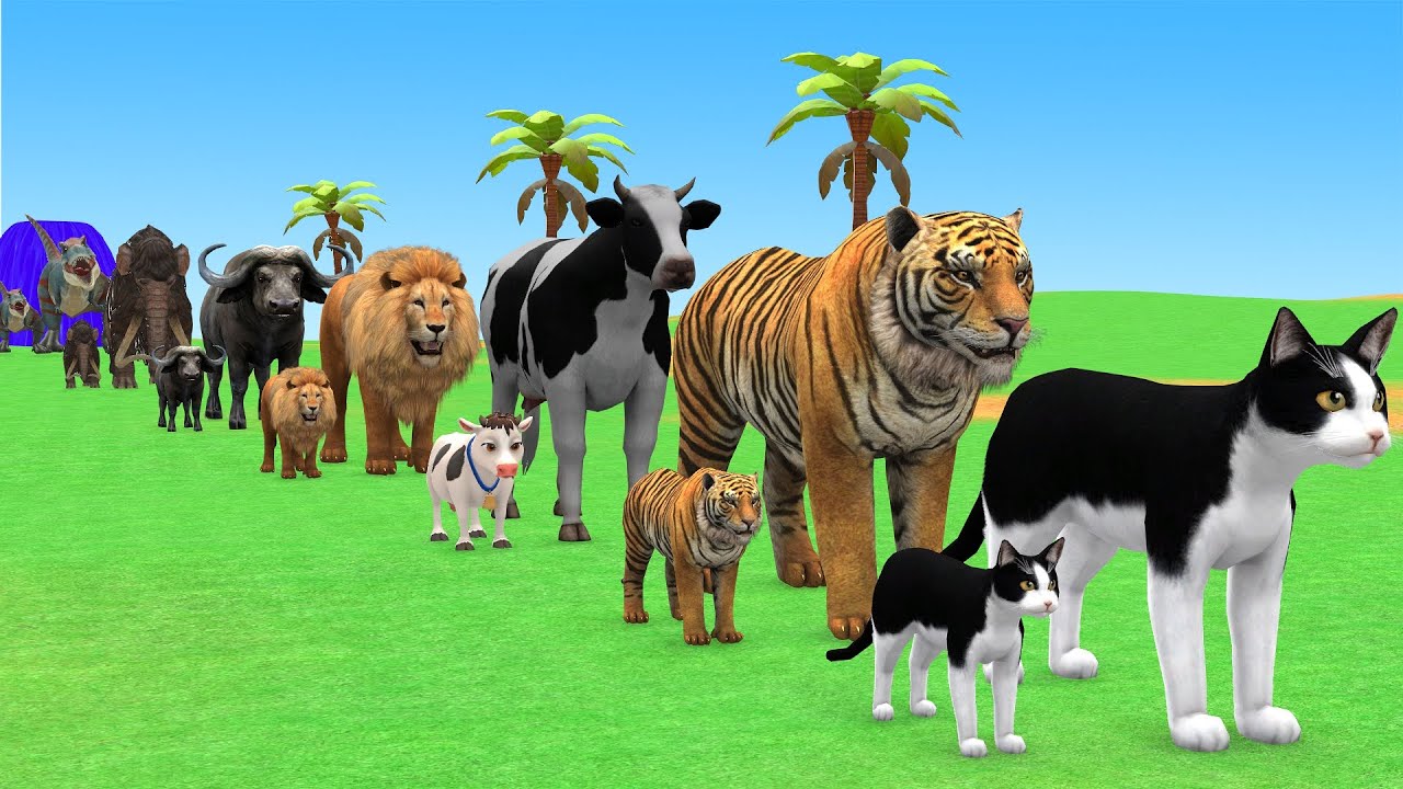 Long Slide Game with Cow Elephant Gorilla Hippopotamus Tiger 3d Animal Game Funny 3d Animals