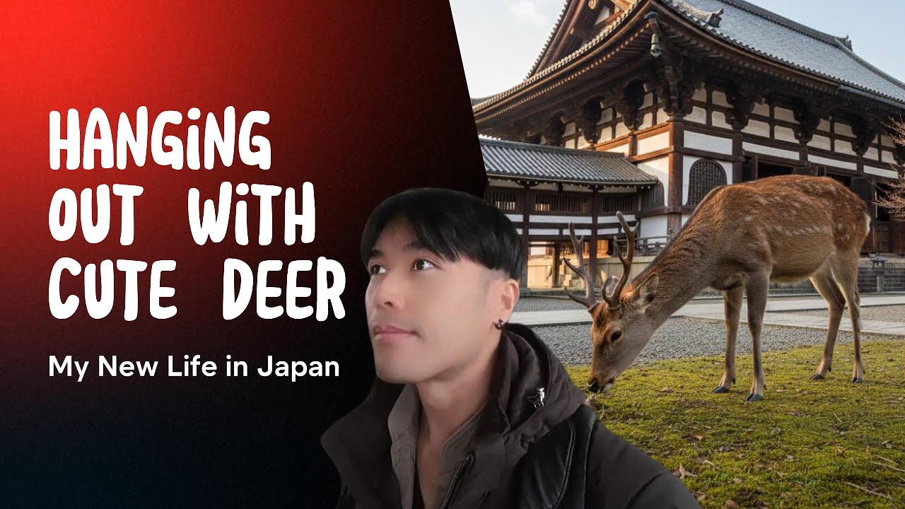 I made forest friends in Japan!