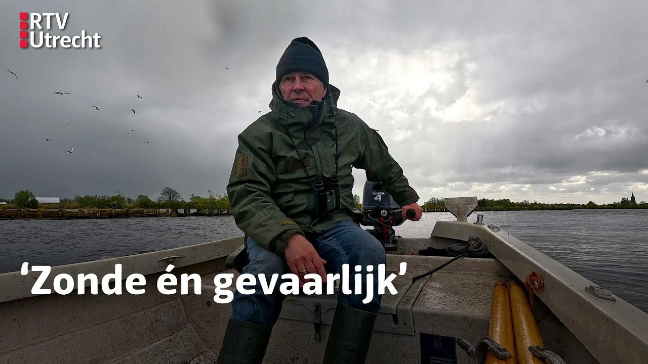 Eilanden zinken weg in diepe plassen | RTV Utrecht