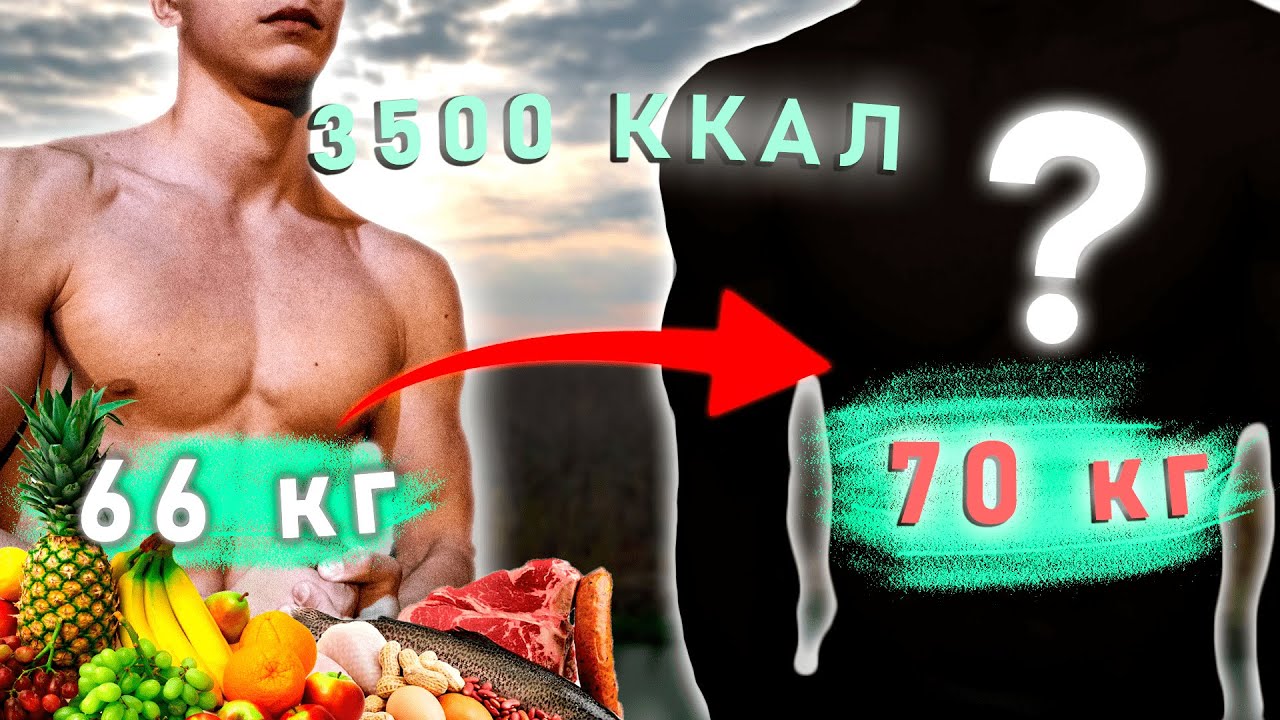 Мой Рацион Питания НА НАБОРЕ МАССЫ | Как Набрать Массу Подростку в 2020