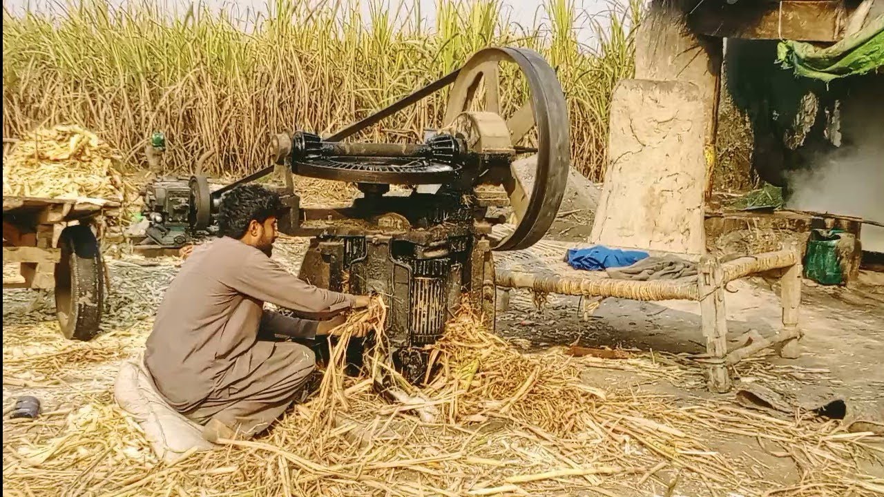 You Won’t Believe How Sugarcane Juice Is Made Like This! 😱