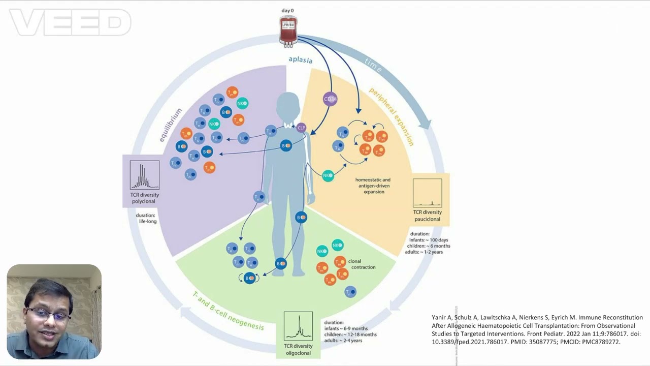Immune reconstitution after HSCT