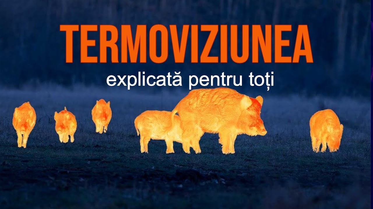 Termalul, pentru vânătoare și nu numai - ce este, cum este și cum îl utilizăm legal