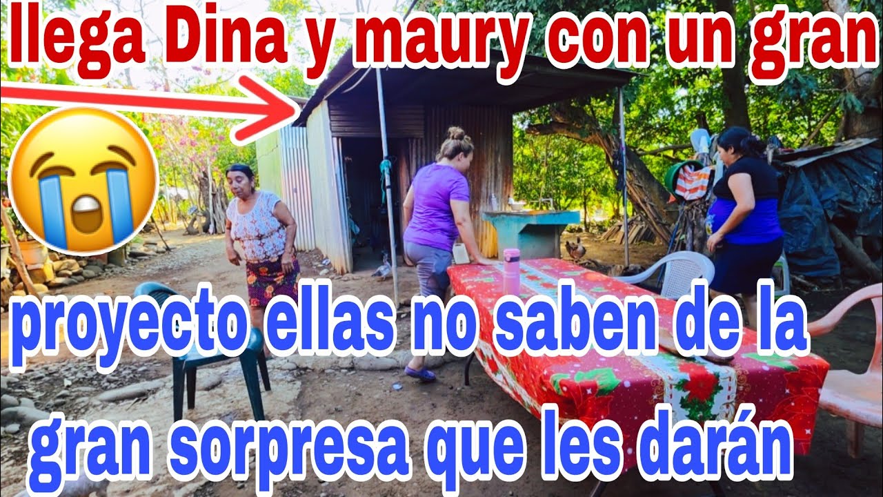 Dina y maury tienen una gran sorpresa para Evelin gran proyecto que aran😱😳