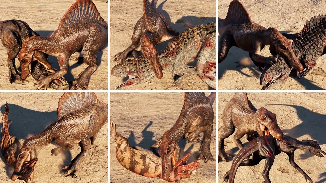 Spinosaurus Kill Animation Vs Large & Medium Carnivores - Jurassic World Evolution 2