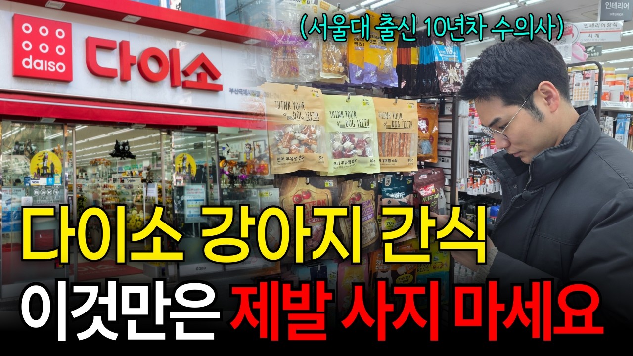 강아지간식 1000원, 수의사가 추천하는 다이소 강아지간식 공개 [마포동물병원, 오복동물치과]