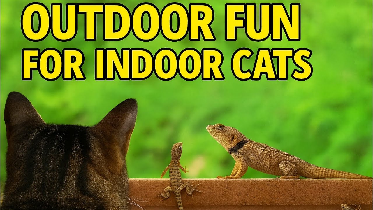 Lizard Extravaganza! 🐾 1 Hour Cat TV for Cats to Watch and Chase!
