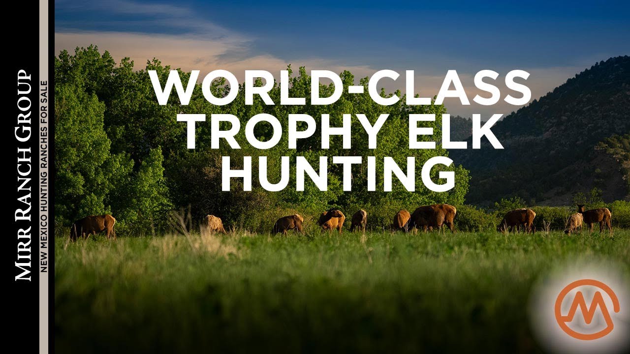 SOLD! New Mexico Hunting Ranches for Sale - Dawson Elk Valley Ranch