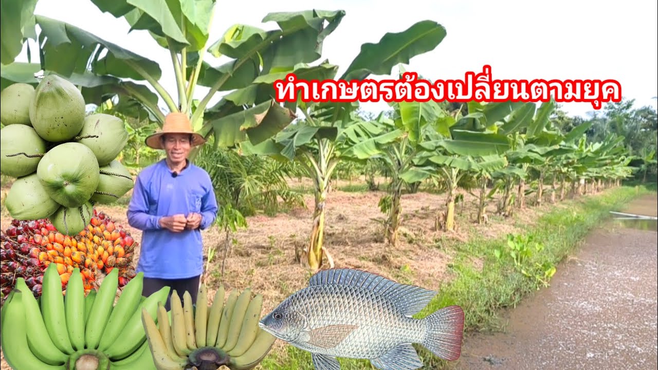 ทำเกษตรยุคใหม่!!อย่ายึดติด เปลี่ยนแปลงไปตามยุคสดใหม่และความต้องการของตลาด