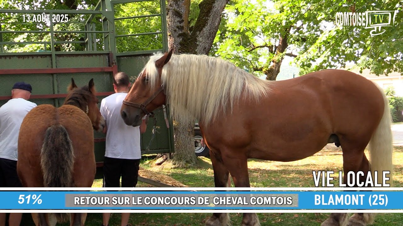 CONCOURS CHEVAL COMTOIS à BLAMONT (25) 13 Août 25