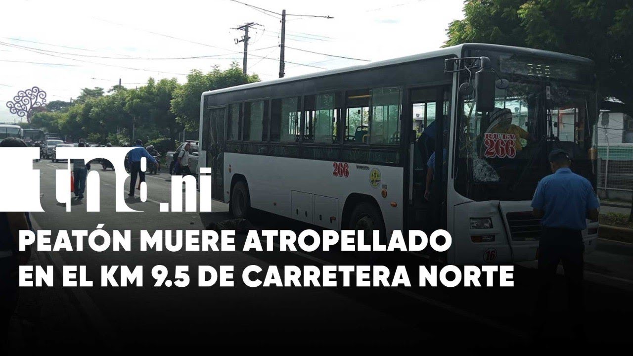Mortal accidente en Carretera Norte: Ruta 266 atropella a peat&oacute;n