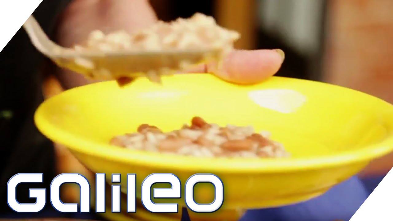 Der Weg des Reises - Made in Italy | Galileo Lunch Break