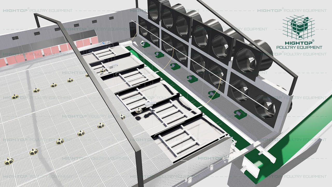 Slatted Floor System, Plastic Poultry Flooring for Cage Free Chicken Farm