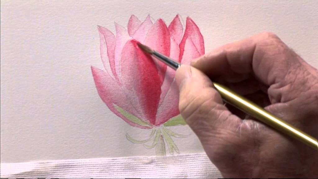 A-Z of Botanical Flowers - Water Lily Programme One - Part Two
