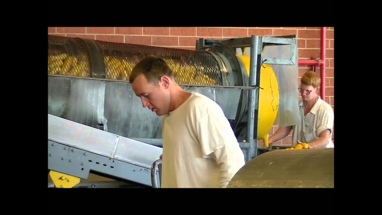 Vegetable Processing; From Field to Freezer