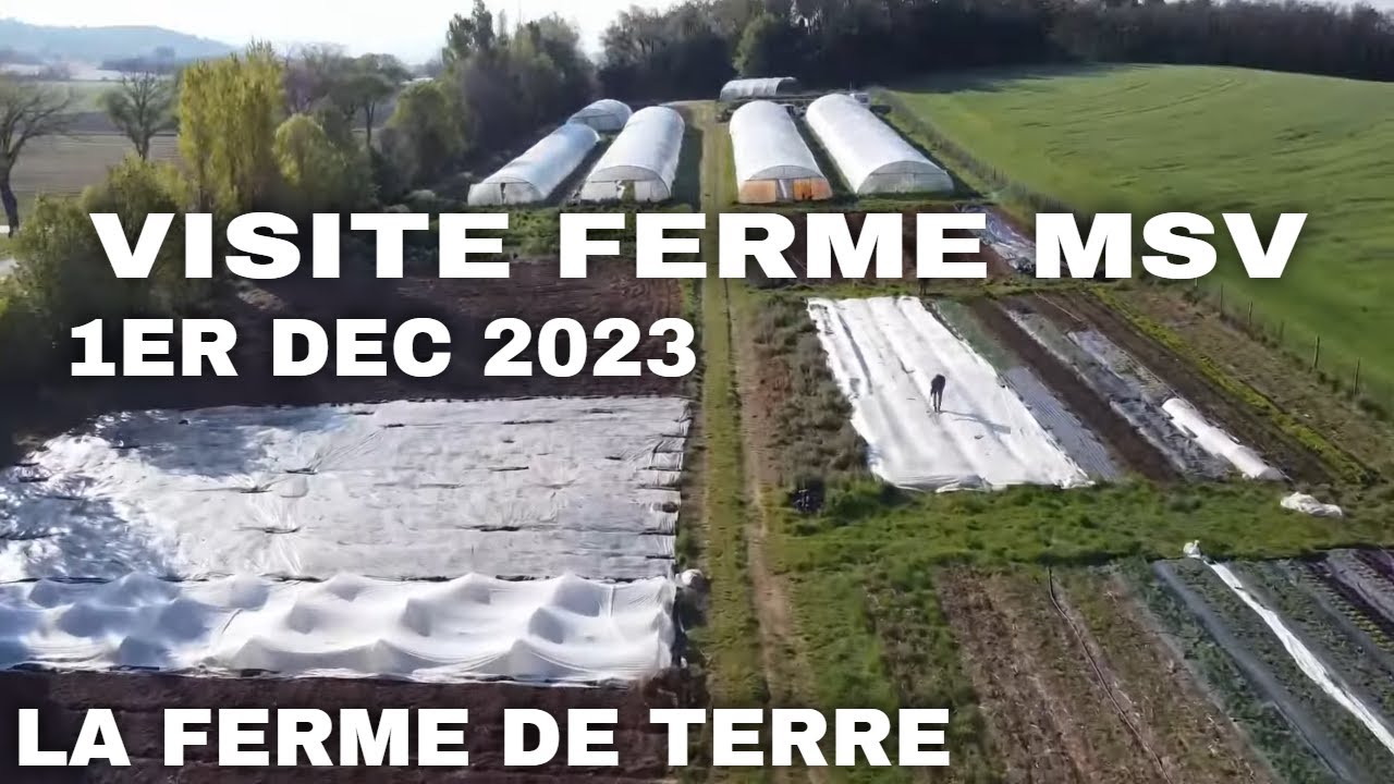 Visite de ferme MSV : LA FERME DE TERRE 1er décembre 2023