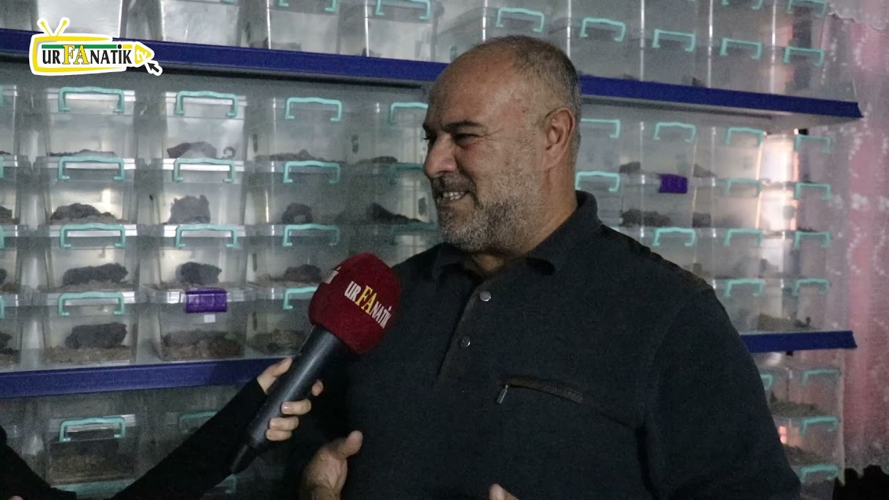 Şanlıurfa o zehirle Dünya'ya açılıyor