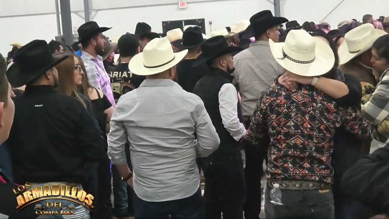 El corrido de la muerta = Los Armadillos del campa max 